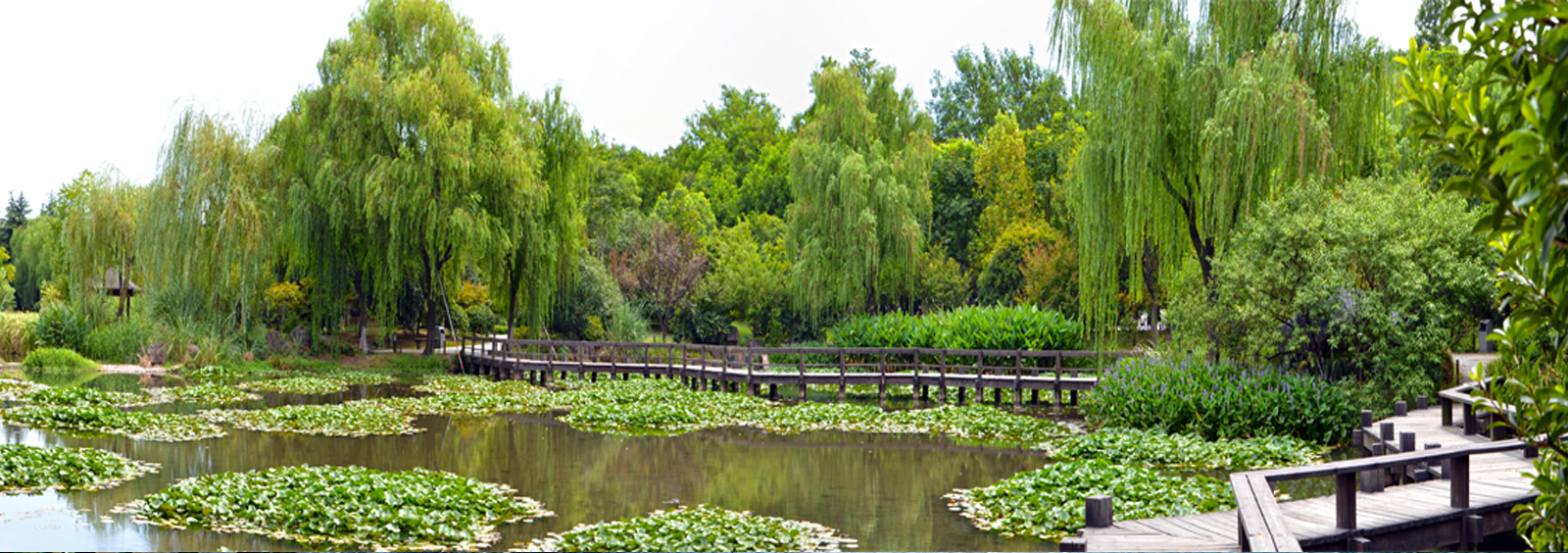 url(http://www.atlantam.cn/theme/TP000163/pic/banner4.jpg)